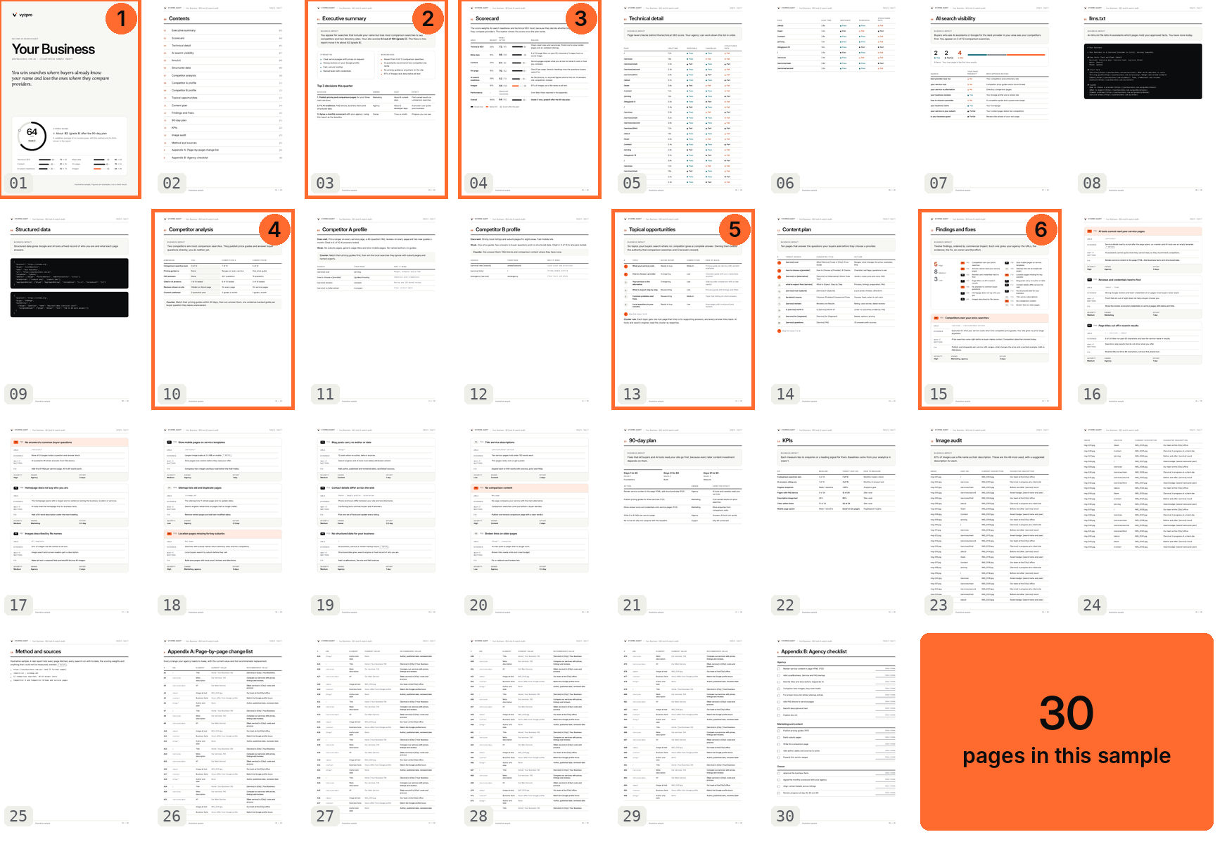 All 30 pages of the illustrative Vyzpro sample report, with six key pages numbered